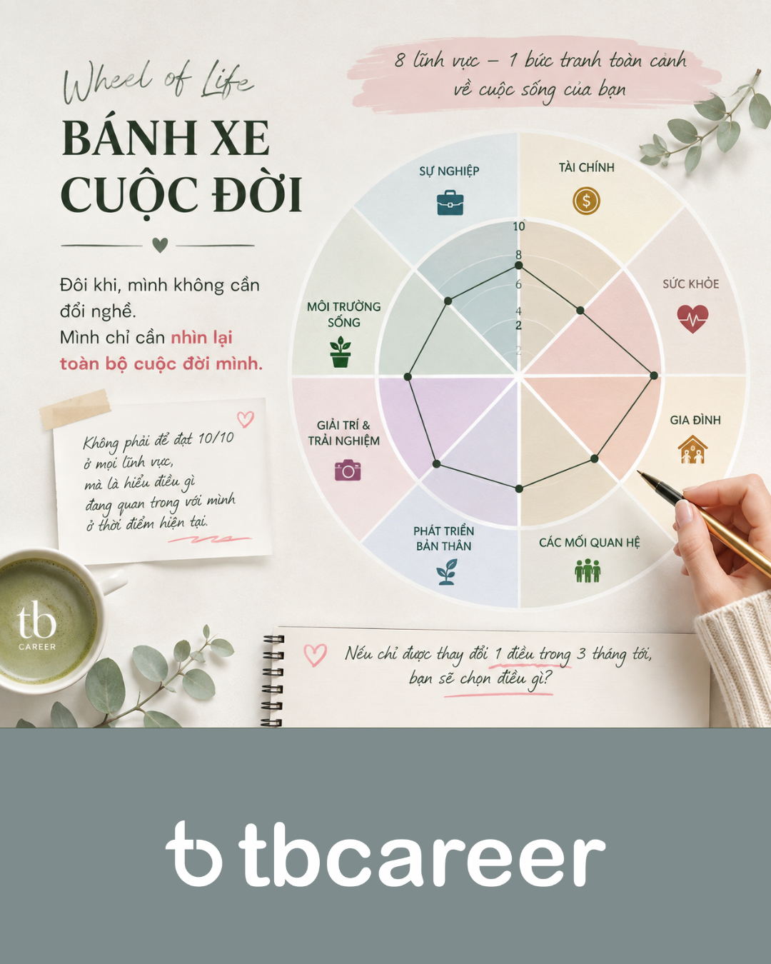 Wheel of Life – Khi Bạn Cần Nhìn Lại Toàn Bộ Cuộc Sống, Không Chỉ Sự Nghiệp
